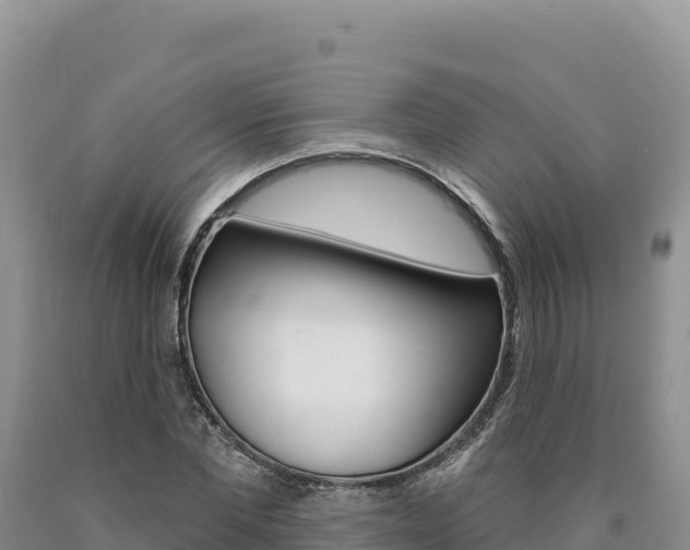 X0000090890877200707271036