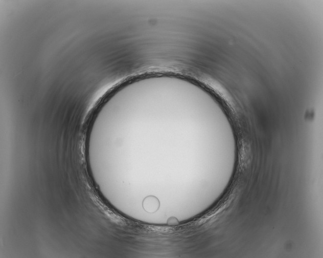 X0000090890878200707271036
