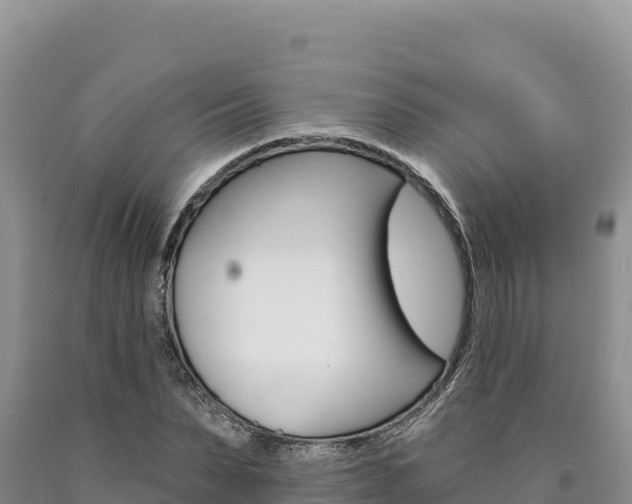 X0000090890879200707271036