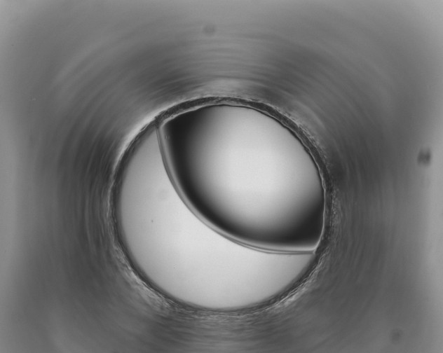 X0000090890880200707271036