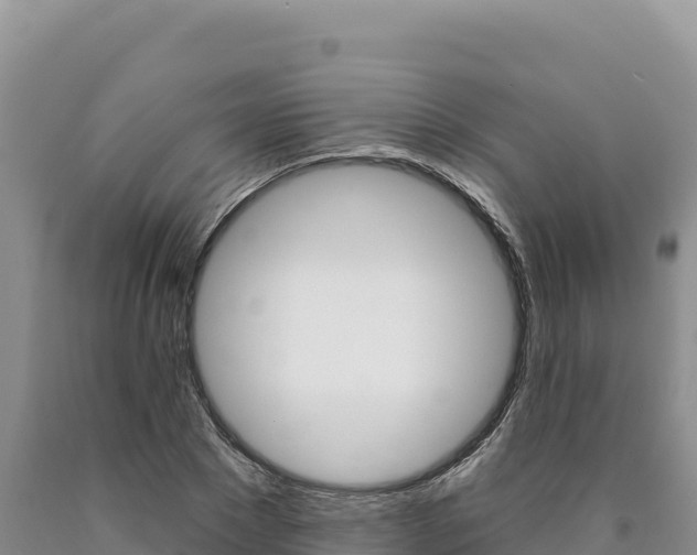X0000090890881200707271036