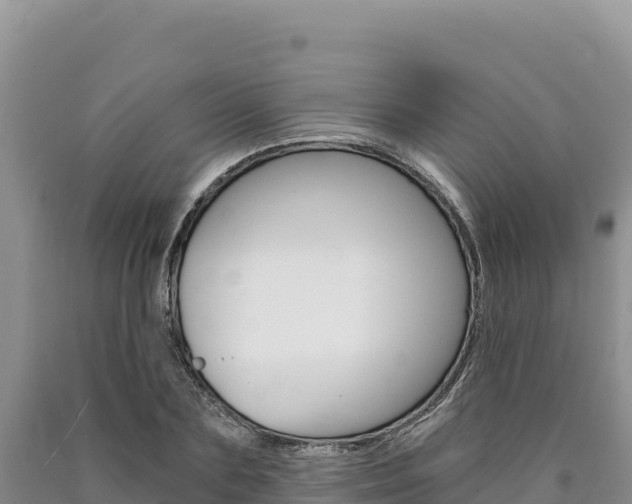 X0000090890883200707271036