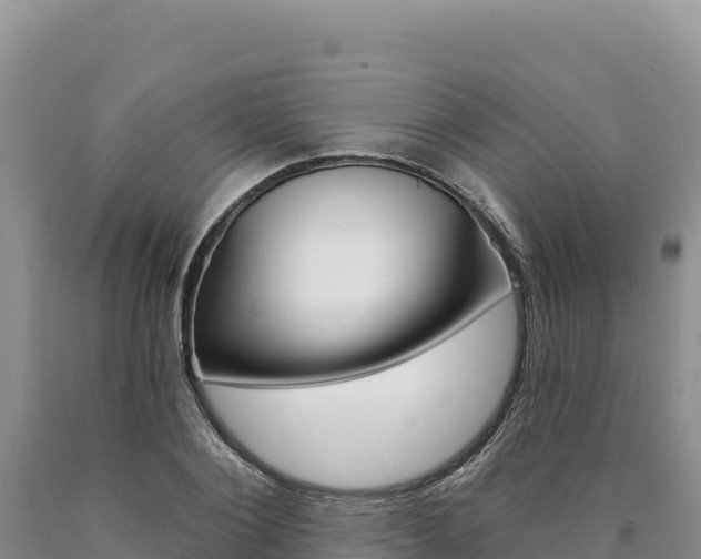 X0000090890884200707271036