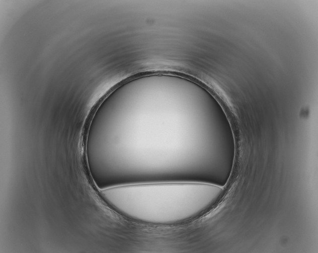 X0000090890885200707271036