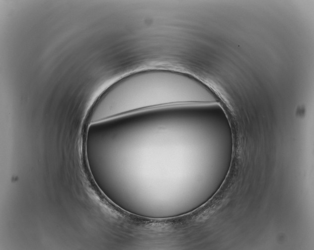 X0000090890888200707271036
