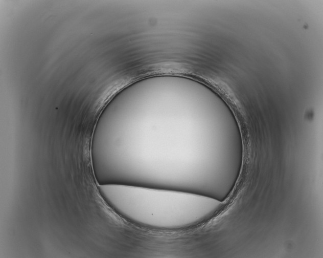 X0000090890889200707271036