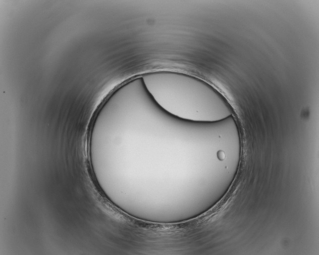 X0000090890891200707271036