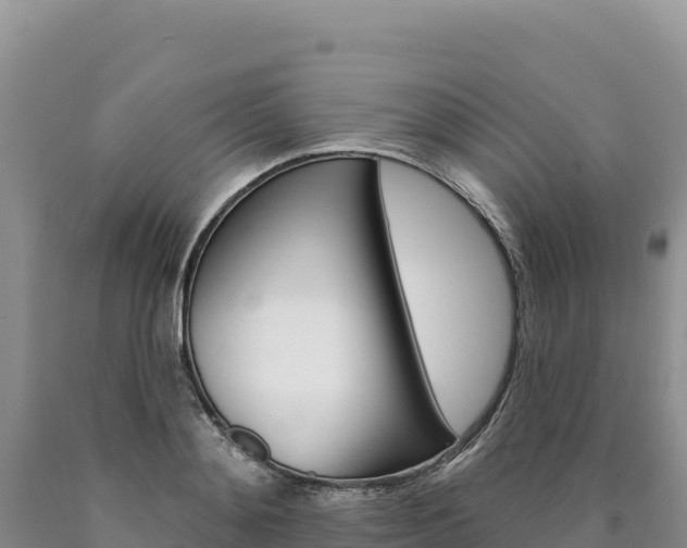 X0000090890892200707271036