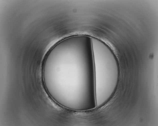 X0000090890894200707271036