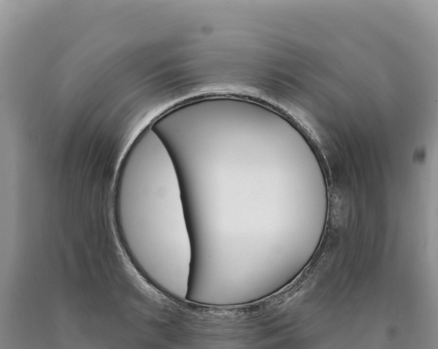 X0000090890895200707271036