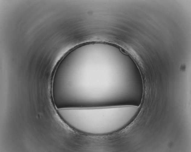 X0000090890896200707271036