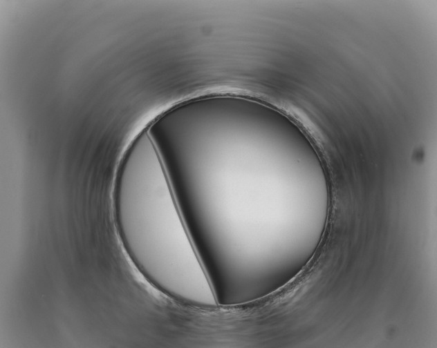 X0000090890902200707271036
