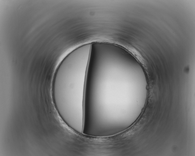X0000090890904200707271036