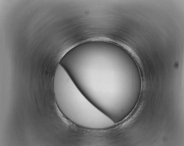 X0000090890905200707271036