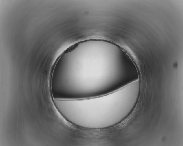 X0000090890910200707271036