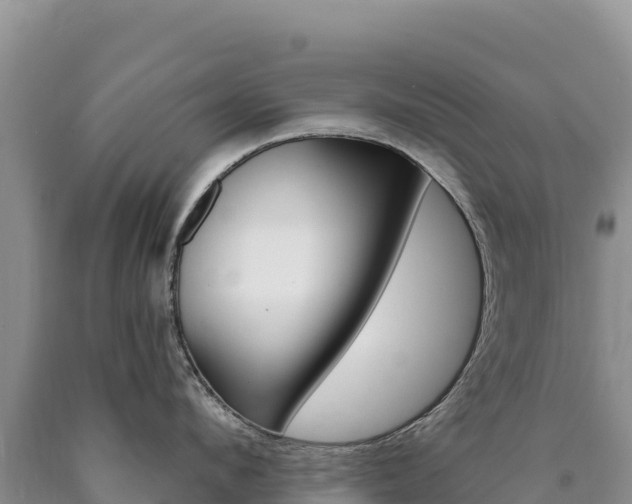 X0000090890912200707271036