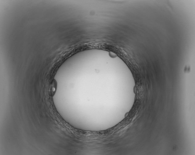 X0000090890913200707271035