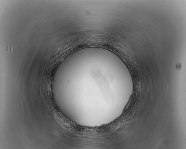 X0000090890914200707271035