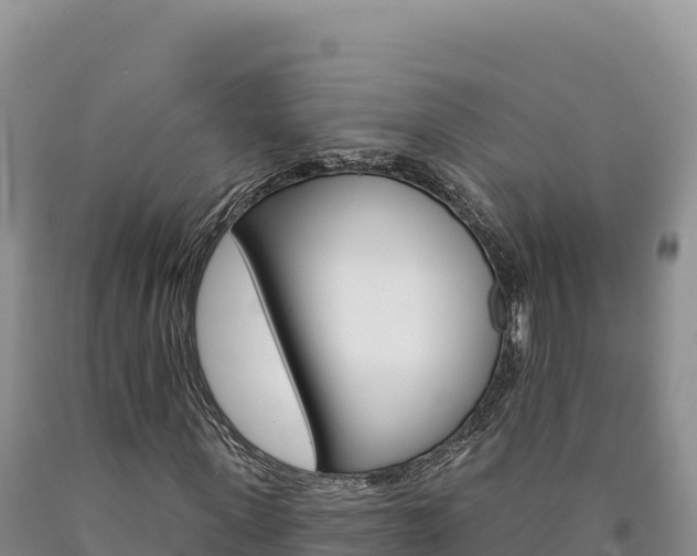 X0000090890915200707271035