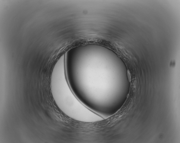 X0000090890916200707271035