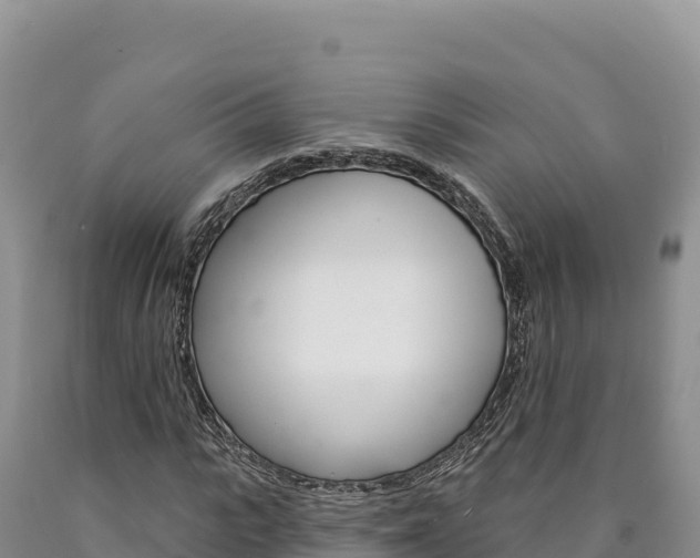 X0000090890919200707271035