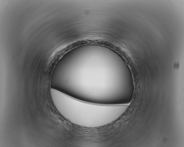 X0000090890920200707271035