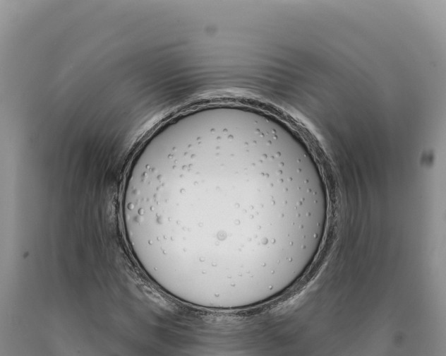 X0000090890921200707271035
