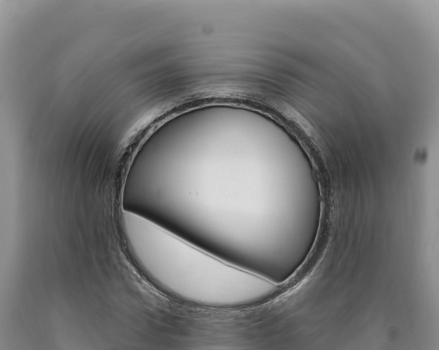 X0000090890922200707271035