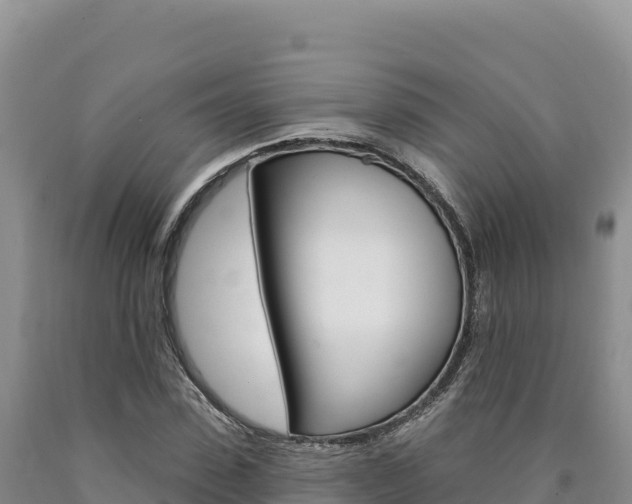 X0000090890923200707271035