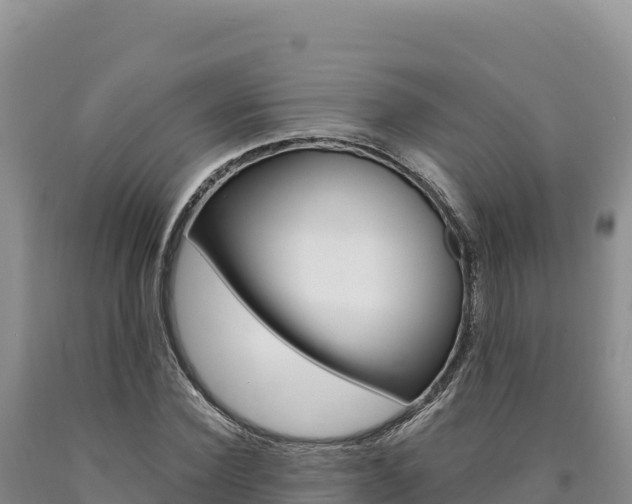 X0000090890924200707271035