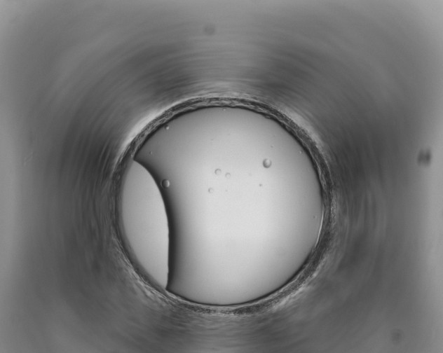 X0000090890925200707271035