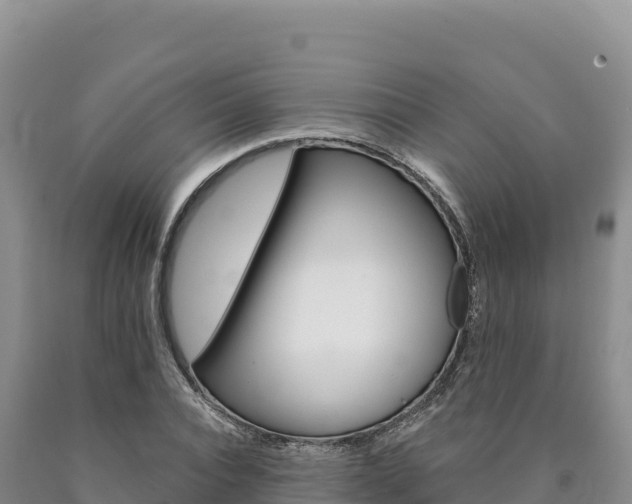 X0000090890928200707271035