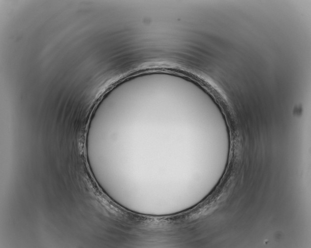 X0000090890929200707271035