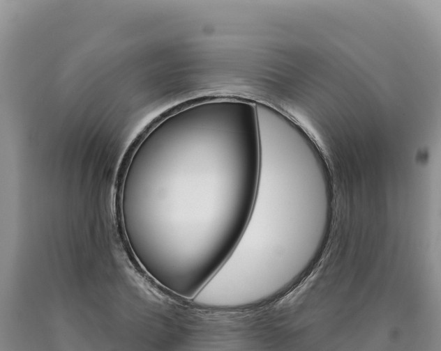 X0000090890932200707271035