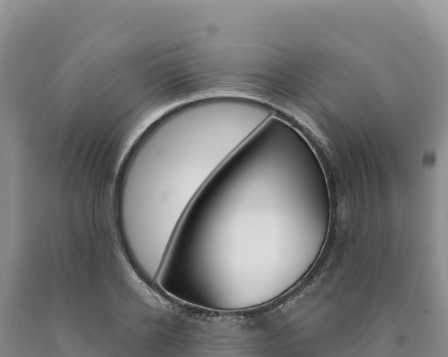 X0000090890934200707271035
