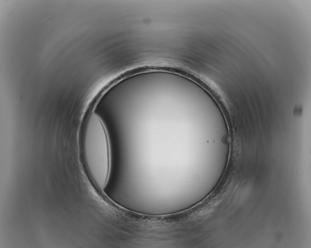 X0000090890935200707271035