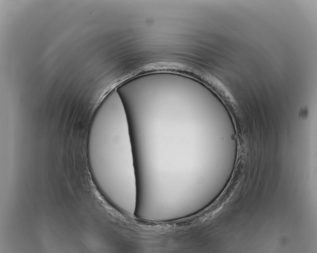 X0000090890937200707271035