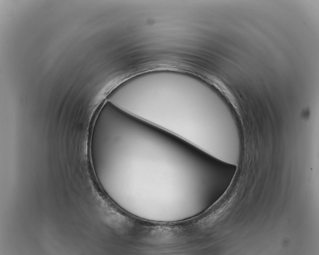 X0000090890938200707271035