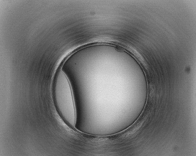 X0000090890939200707271035
