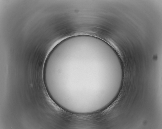 X0000090890940200707271035