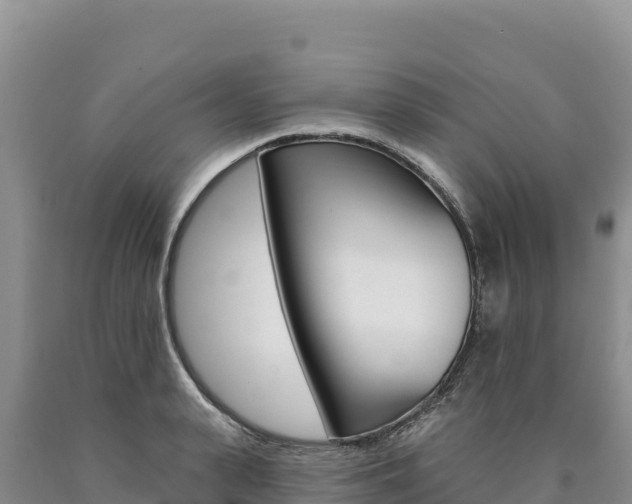 X0000090890943200707271035