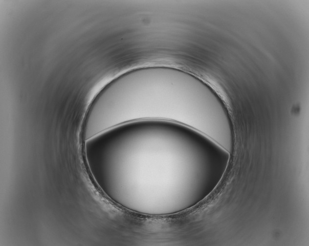 X0000090890944200707271035