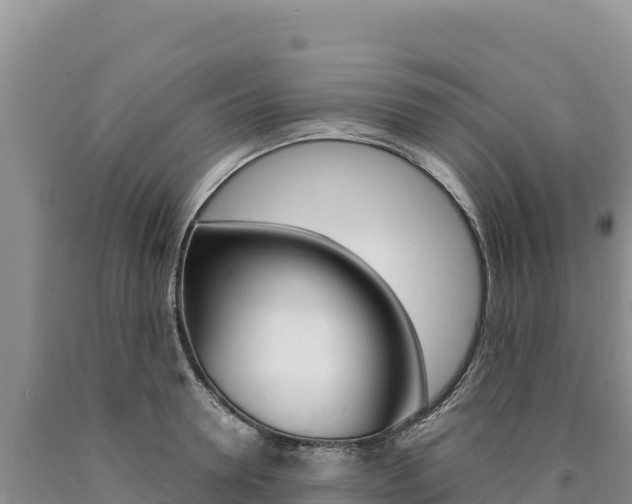 X0000090890946200707271035