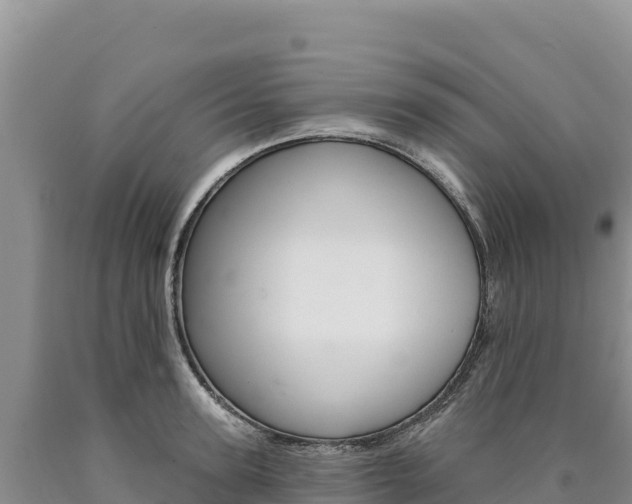 X0000090890947200707271035