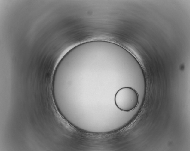 X0000090890948200707271035
