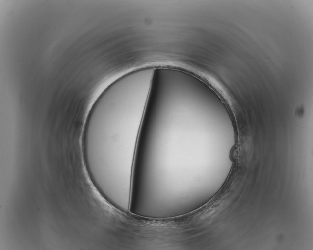 X0000090890951200707271035