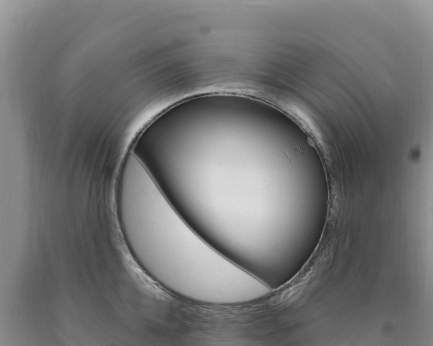 X0000090890952200707271035