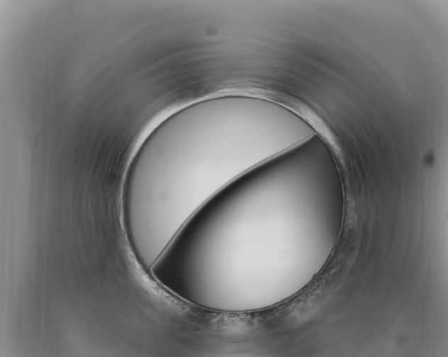 X0000090890955200707271035