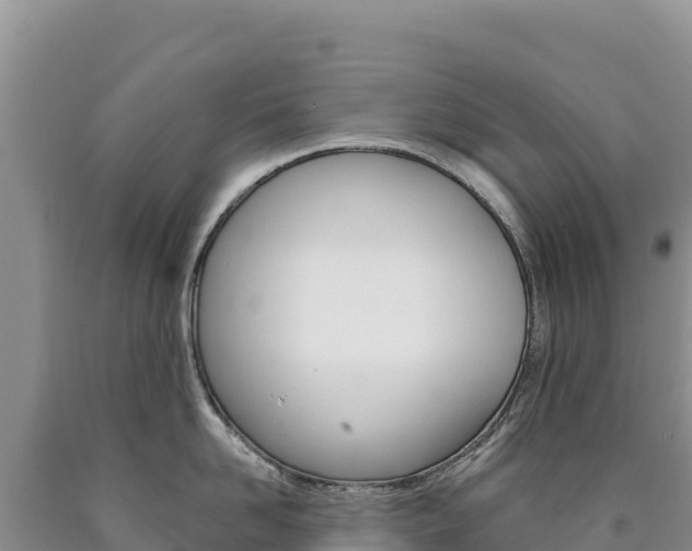 X0000090890958200707271036