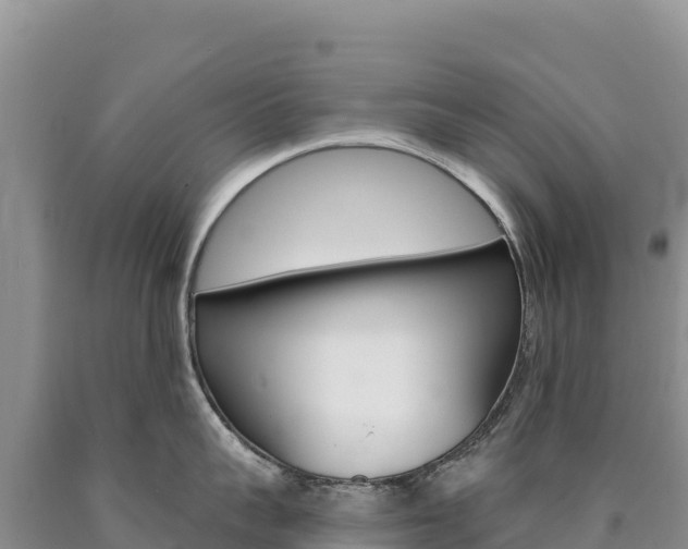 X0000090890959200707271036